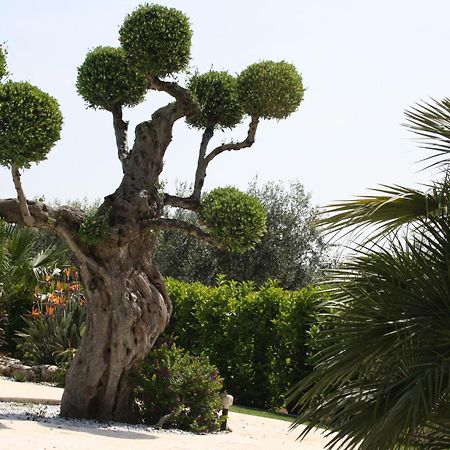Villa Tonia ฟาซาโน ภายนอก รูปภาพ
