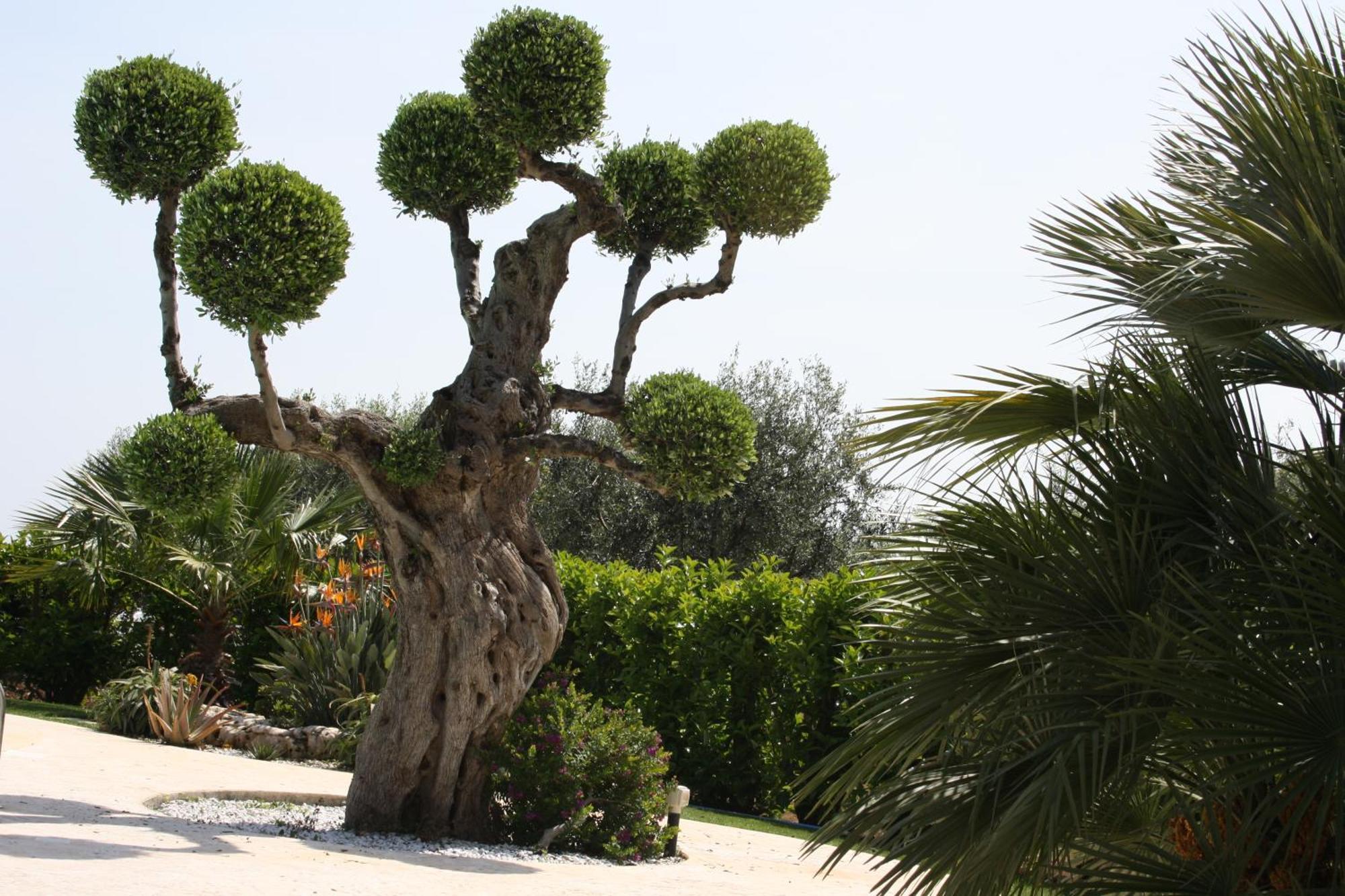 Villa Tonia ฟาซาโน ภายนอก รูปภาพ